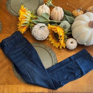 Judy Blue Midnight Blue Skinny Jeans